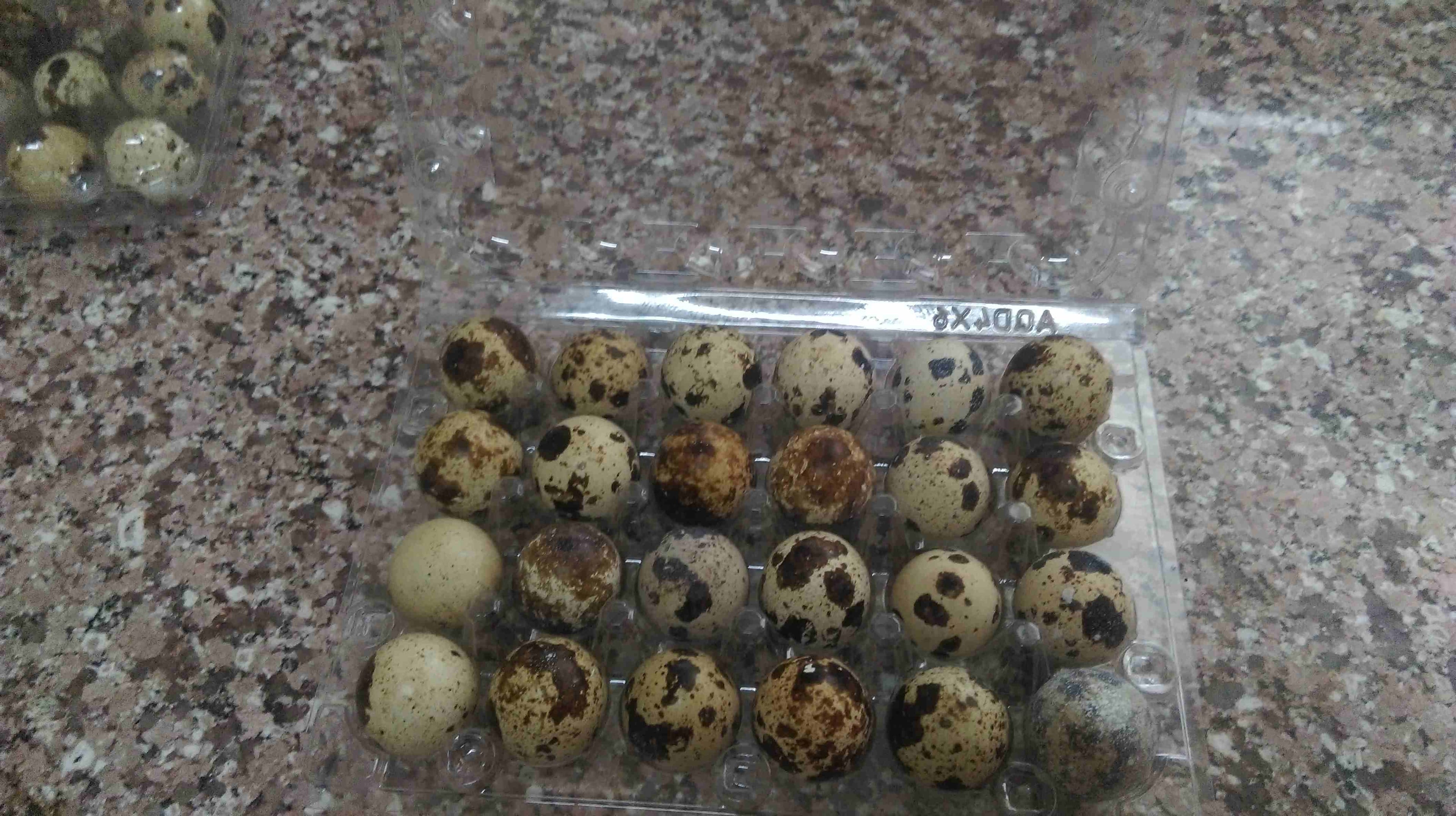 طبق بيض فري ب 75 قرش يا بلاش
لا تنسَ أنك شاهدت هذا الإعلان في عنكبوت
بيض فري للاكل ويوجد مخصب لاص...