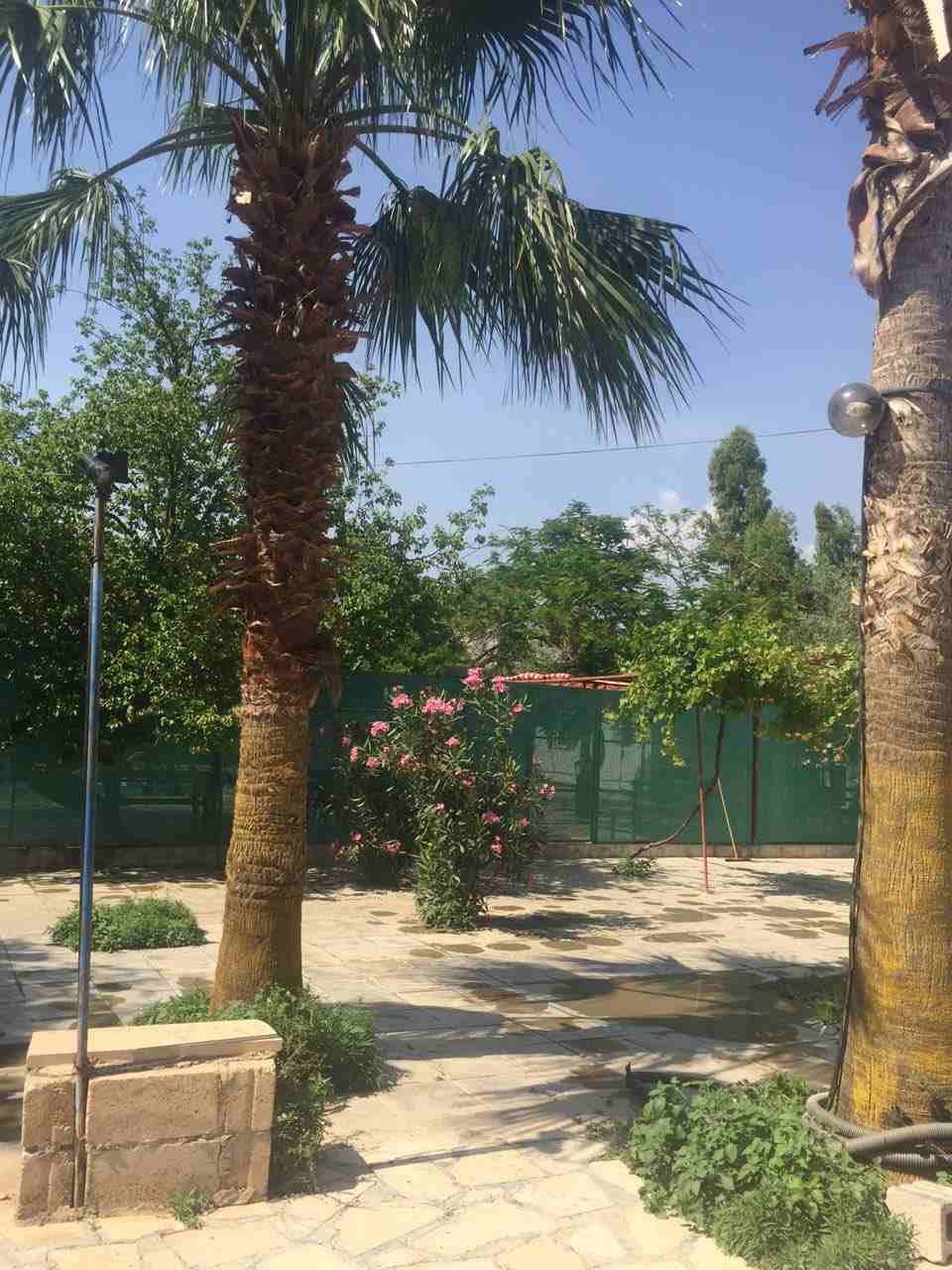 رحلات في الاردن احجز رحلات إلى البتراء وادي رم العقبة جرش عجلون
لا تنسَ أنك شاهدت هذا الإعلان في عنكبوت...