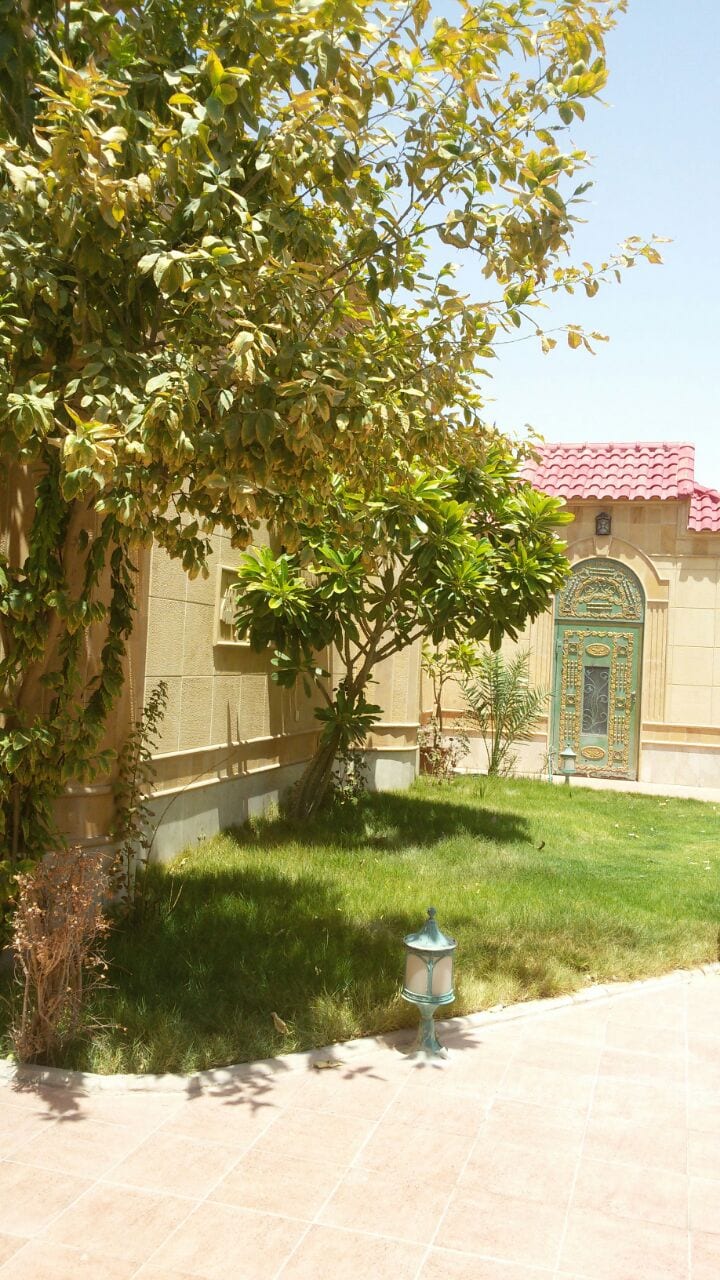 شبه قصر بالسعوديه/ الرياض للبيع
لا تنسَ أنك شاهدت هذا الإعلان في عنكبوت
لكبار رجال الاعمال وك...