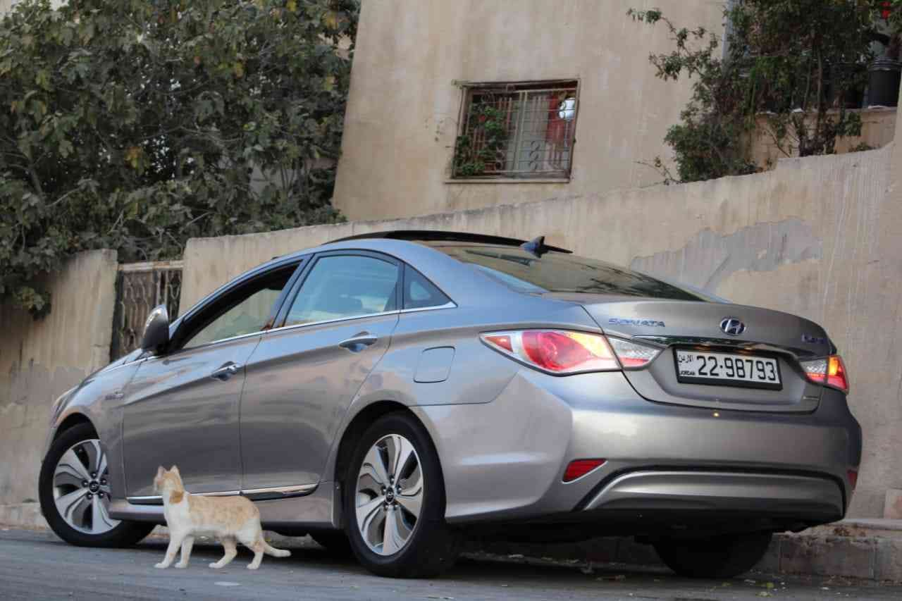 سوناتا هايبرد 2013 فل كامل للبدل
لا تنسَ أنك شاهدت هذا الإعلان في عنكبوت
سوناتا هايبرد 2013 أ...