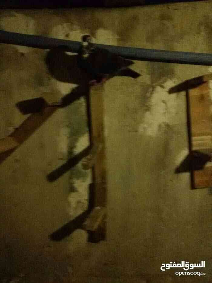 حمام للبيع على 4
لا تنسَ أنك شاهدت هذا الإعلان في عنكبوت
8 اطيور للبيع على 4 حمام كش عساكر وا...
