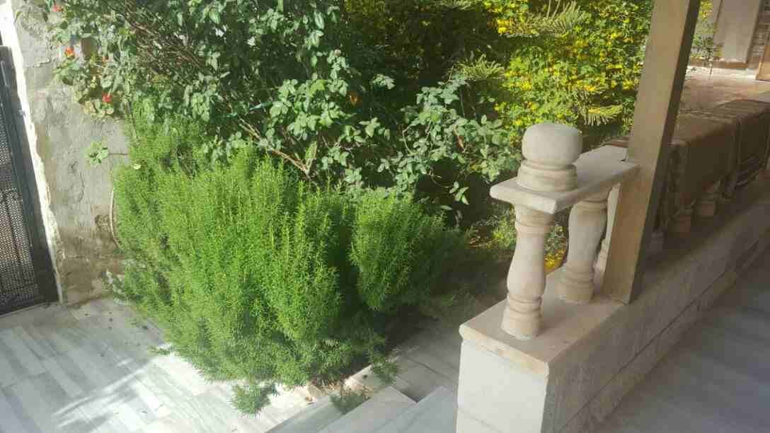 عمارة استثمارية تقع في حوض 6 الحجار /ابو علياء
لا تنسَ أنك شاهدت هذا الإعلان في عنكبوت
مكونه من...