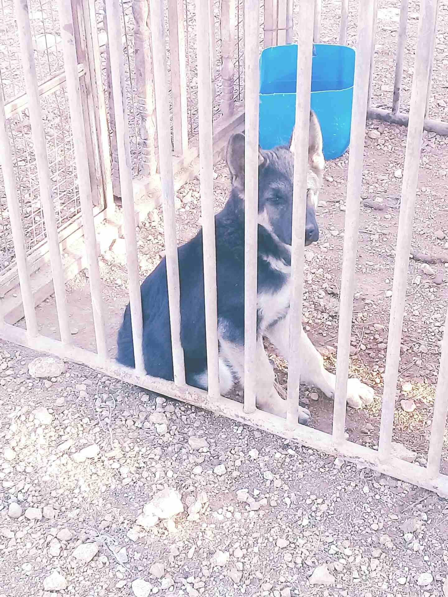 للبدل فقط
لا تنسَ أنك شاهدت هذا الإعلان في عنكبوت
للبدل فقط العمر4شهور...