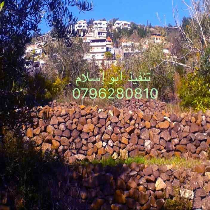 اصلاح الاراضي وبناء سناسل
لا تنسَ أنك شاهدت هذا الإعلان في عنكبوت
كافة انواع الحفريات والمقاو...