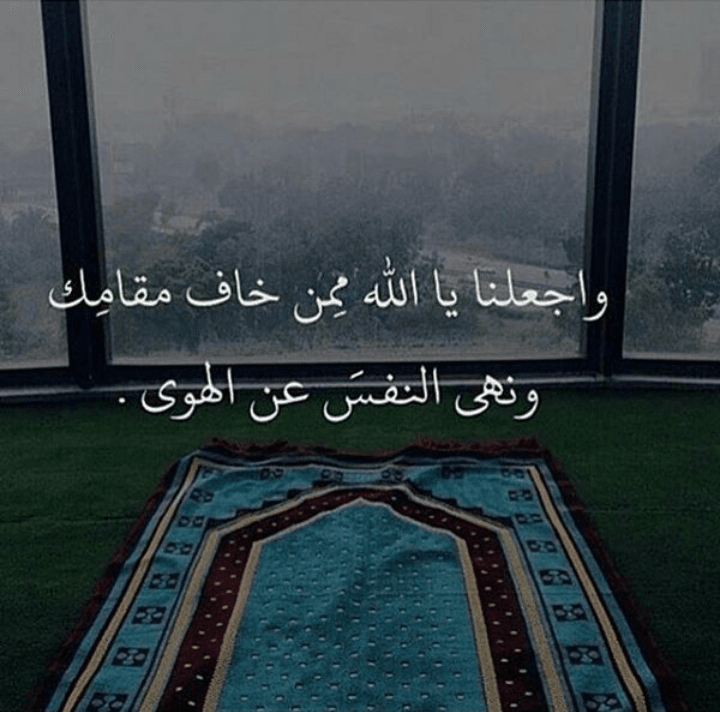 مطلوب شروه ادوات منزليه بسعر ممتاز
لا تنسَ أنك شاهدت هذا الإعلان في عنكبوت
مطلوب شروه ادوات منزلي...