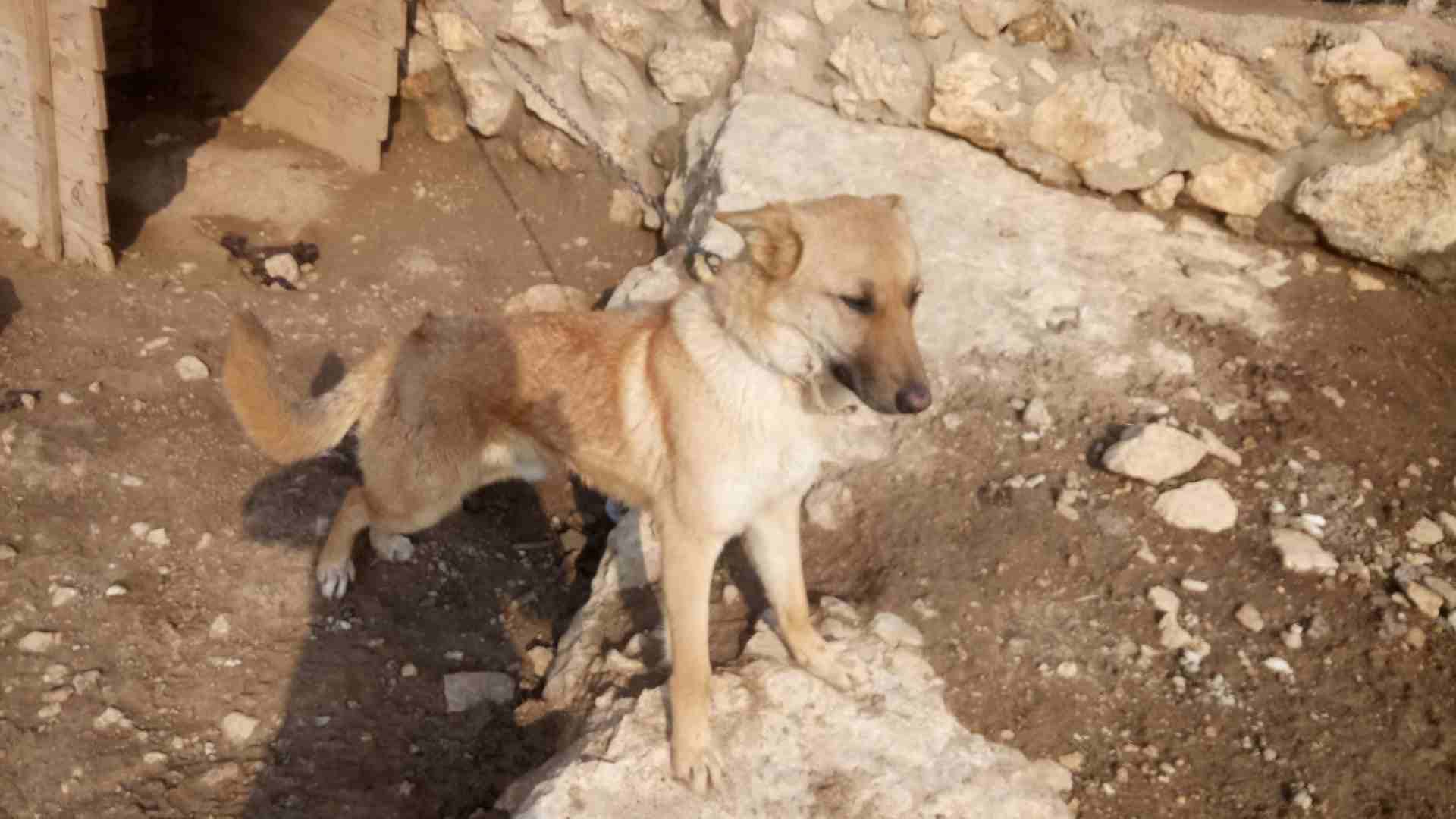 العلوك
لا تنسَ أنك شاهدت هذا الإعلان في عنكبوت
الزرقاء
رقم المعل...