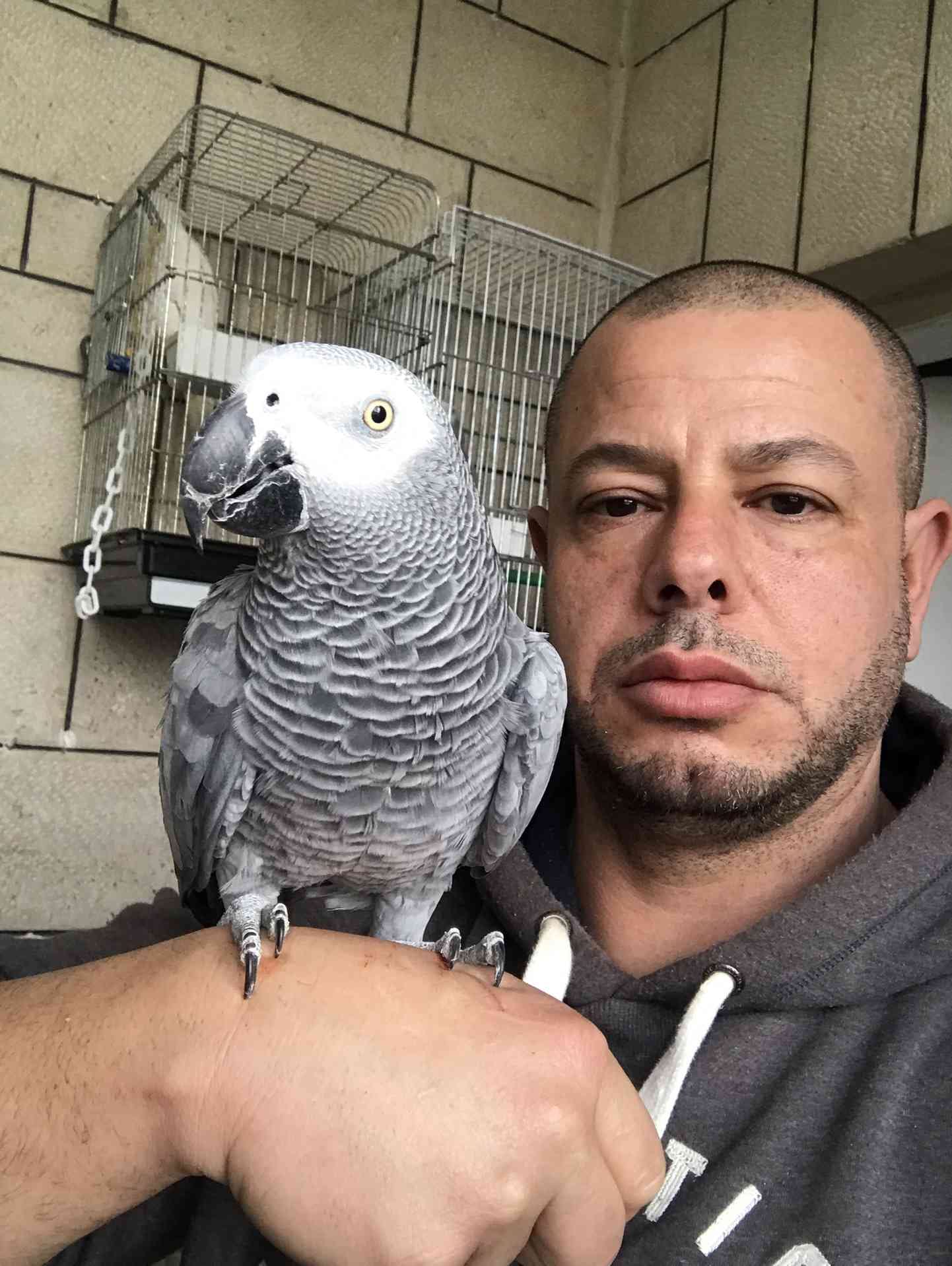 كاسكو لون صدفي اليف متكلم للبيع
لا تنسَ أنك شاهدت هذا الإعلان في عنكبوت
كاسكو عمرو سنه ونص ال...