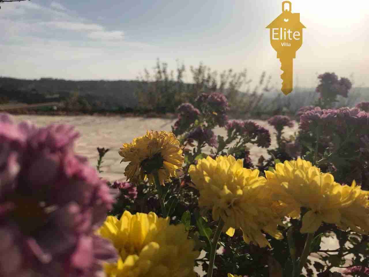 فيلا مستقله للبيع في الاردن - عمان - ماحص بمساحه 400م
لا تنسَ أنك شاهدت هذا الإعلان في عنكبوت...
