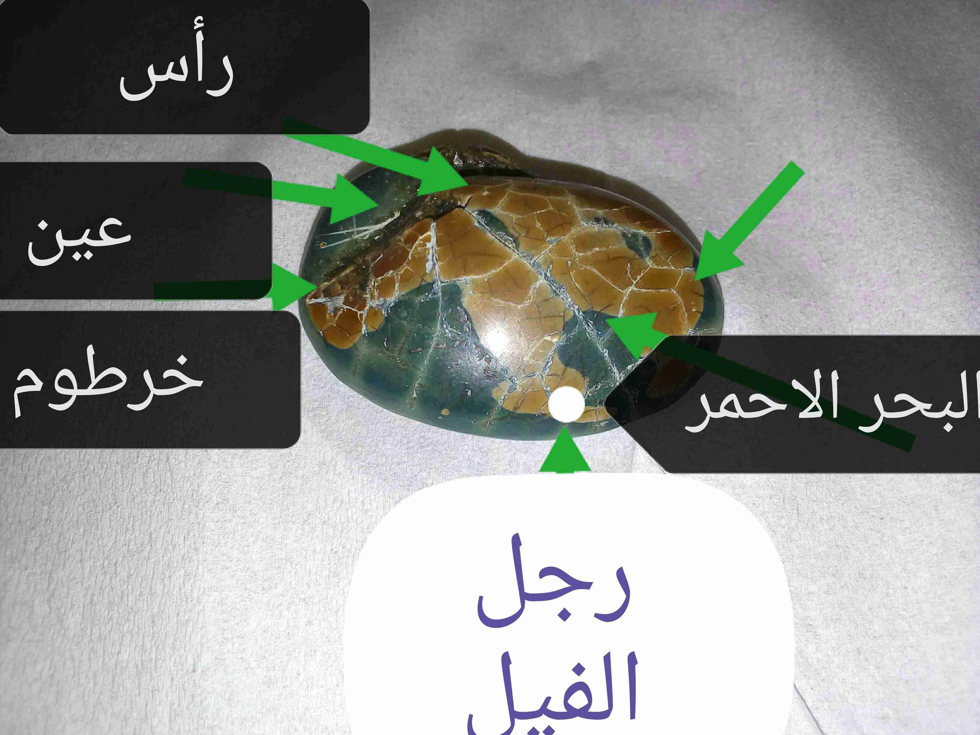 تراثيات ونواعم قيمه
لا تنسَ أنك شاهدت هذا الإعلان في عنكبوت
مجموعه من التراثيات المميزه من ال...