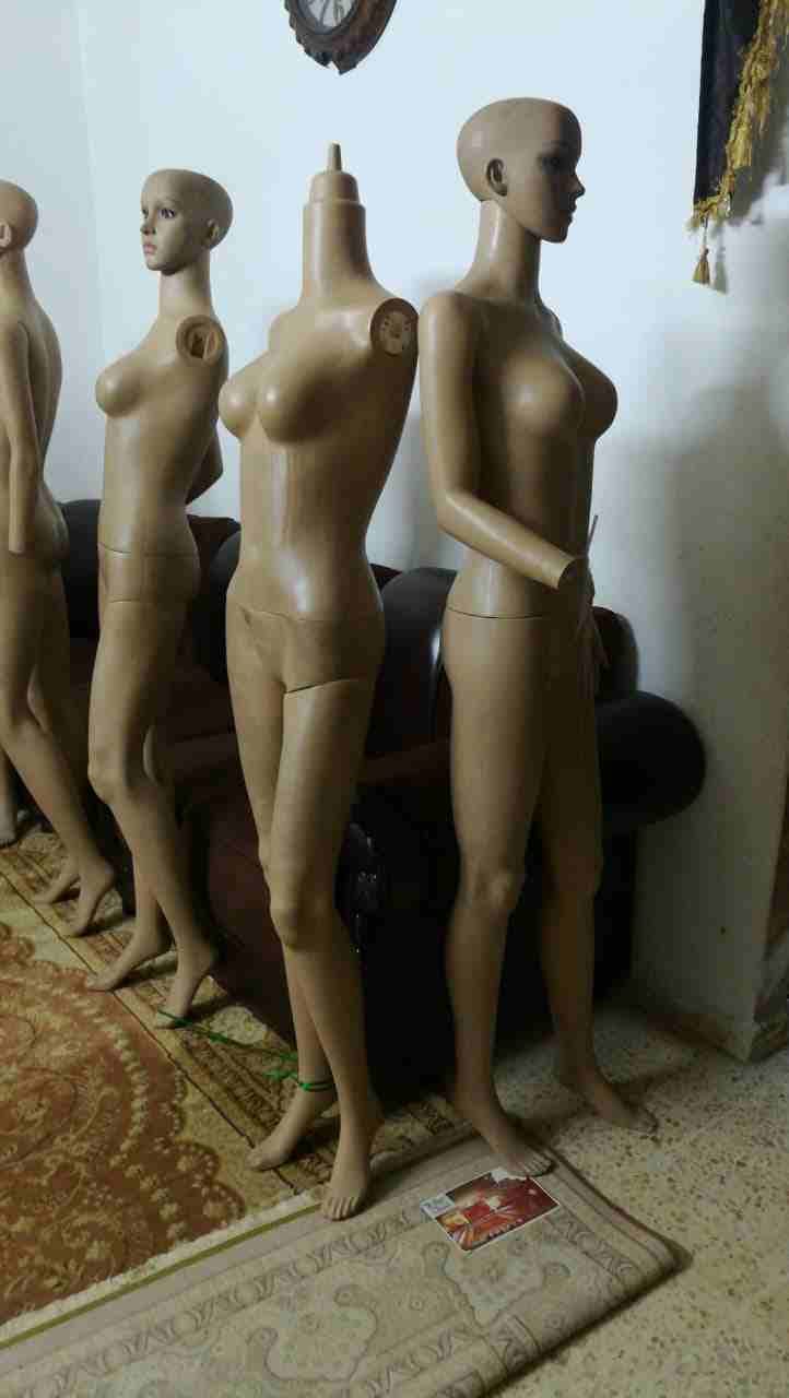 شروا مليكانات عدد 7 بسعر مناااسب جدا
لا تنسَ أنك شاهدت هذا الإعلان في عنكبوت
المعاينه الزواهره دو...