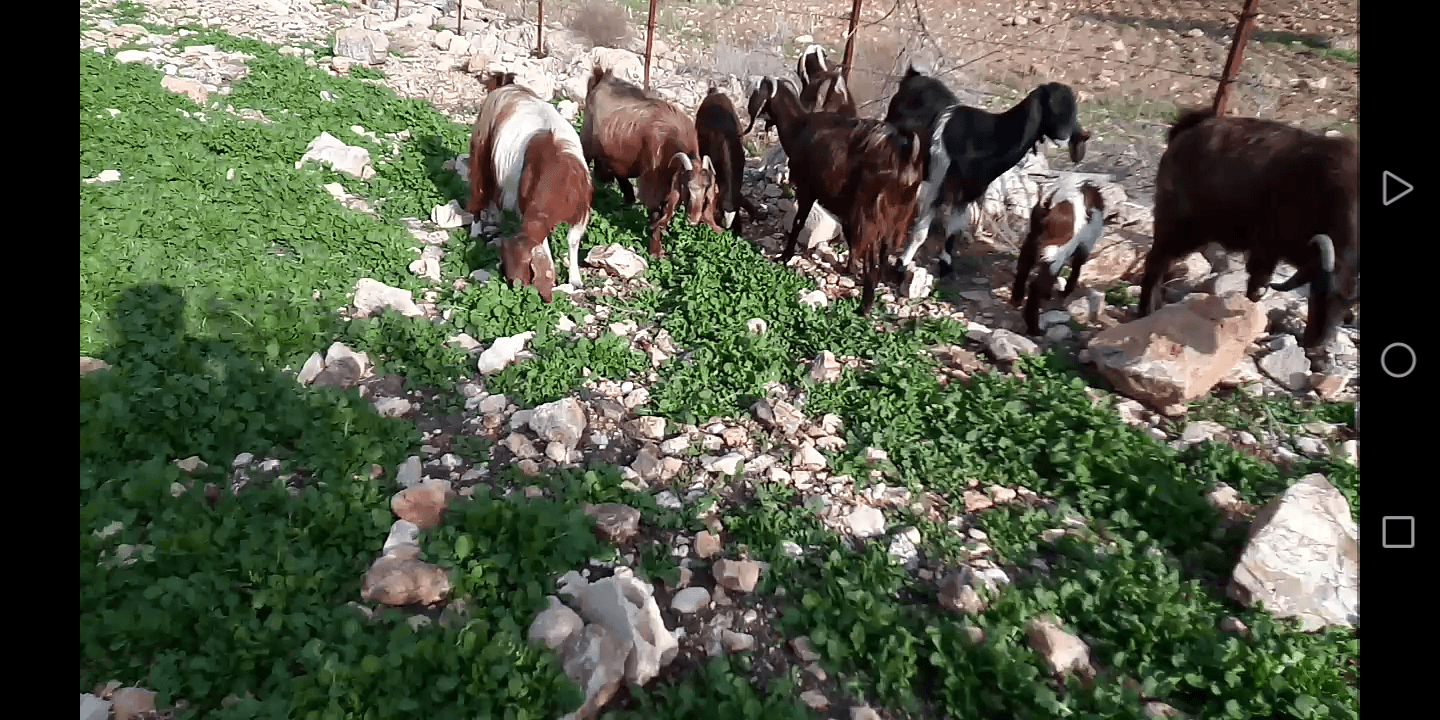 بسم الله الرحمن الرحيم 9 معز نخب مواليد عز المقنوه اذكر الله
لا تنسَ أنك شاهدت هذا الإعلان في عنكبوت...