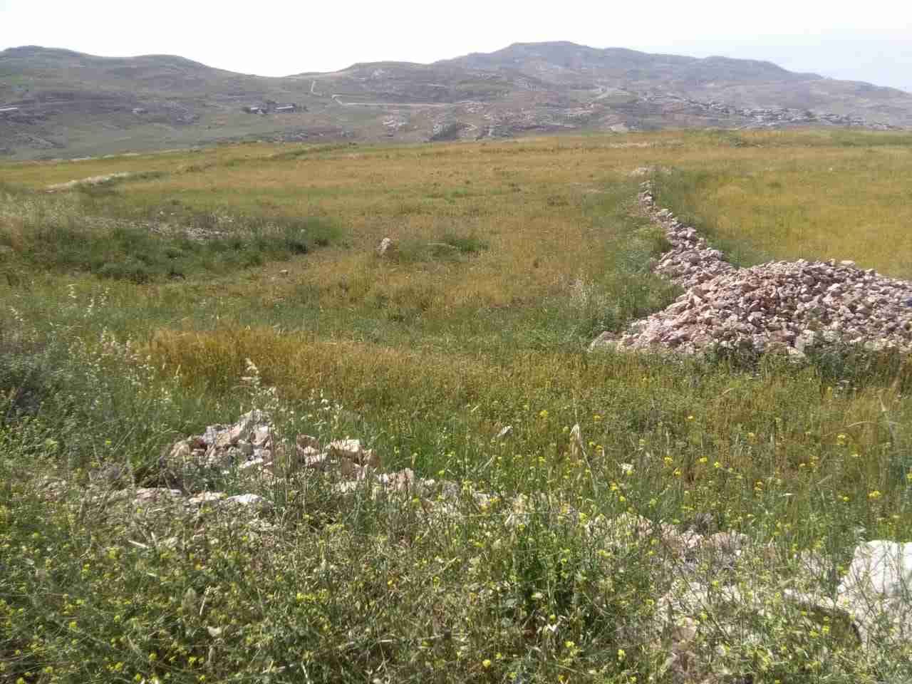 ارض للبيع في الكرك
لا تنسَ أنك شاهدت هذا الإعلان في عنكبوت
ارض مميزة للبيع في الكرك قرية عي م...