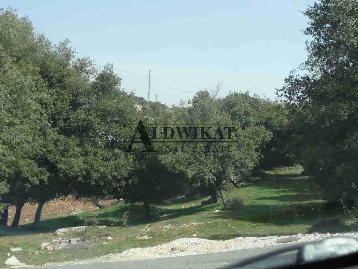 ارض للبيع بدر الجديده حوض الميسر
لا تنسَ أنك شاهدت هذا الإعلان في عنكبوت
رقم الاعلان 1635
ارض لل...