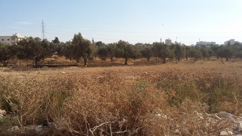 الأردن - عمان
ارض للبيع في الجويدة/ المستندات و ام زعرورة - قرب مسجد ابو بكر الصديق
القرية: الجويدة
حوض: المستندات و ام زعرورة
الموقع: المنطقة الواقعة مقابل نادي الرماية الملكي - قرب مسجد ابو بكر...