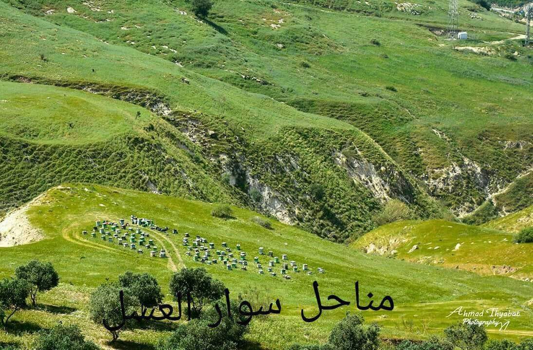 العسل البلدي
لا تنسَ أنك شاهدت هذا الإعلان في عنكبوت
جميع منتجات النحل من مناحل سوار العسل لم...