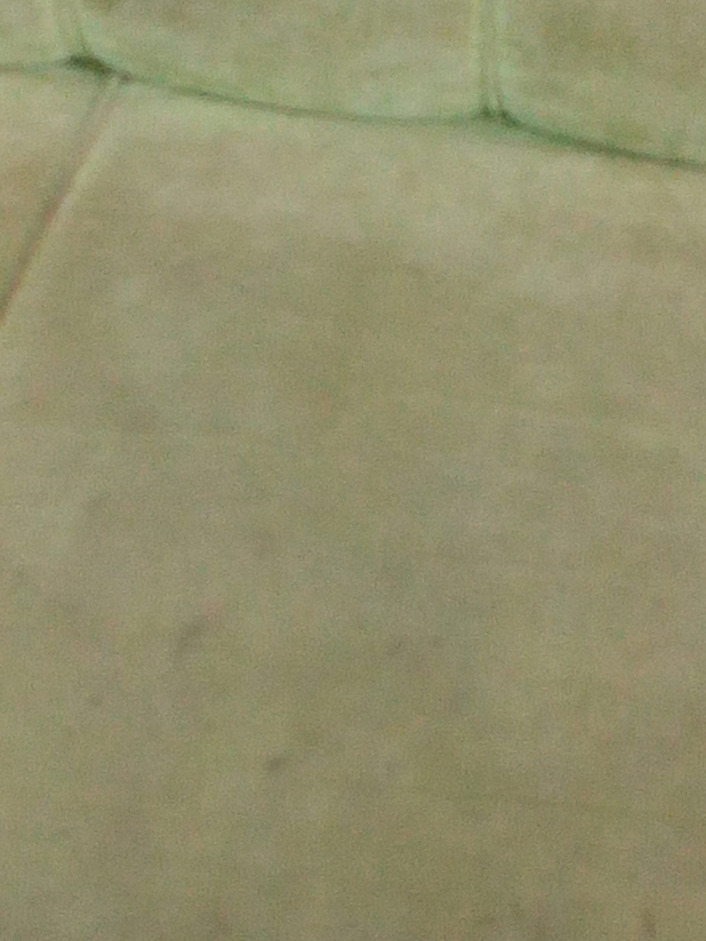 مؤسسة الشرق كلين لخدمات التنظيف
لا تنسَ أنك شاهدت هذا الإعلان في عنكبوت
تعلن مؤسسة الشرق كلين...