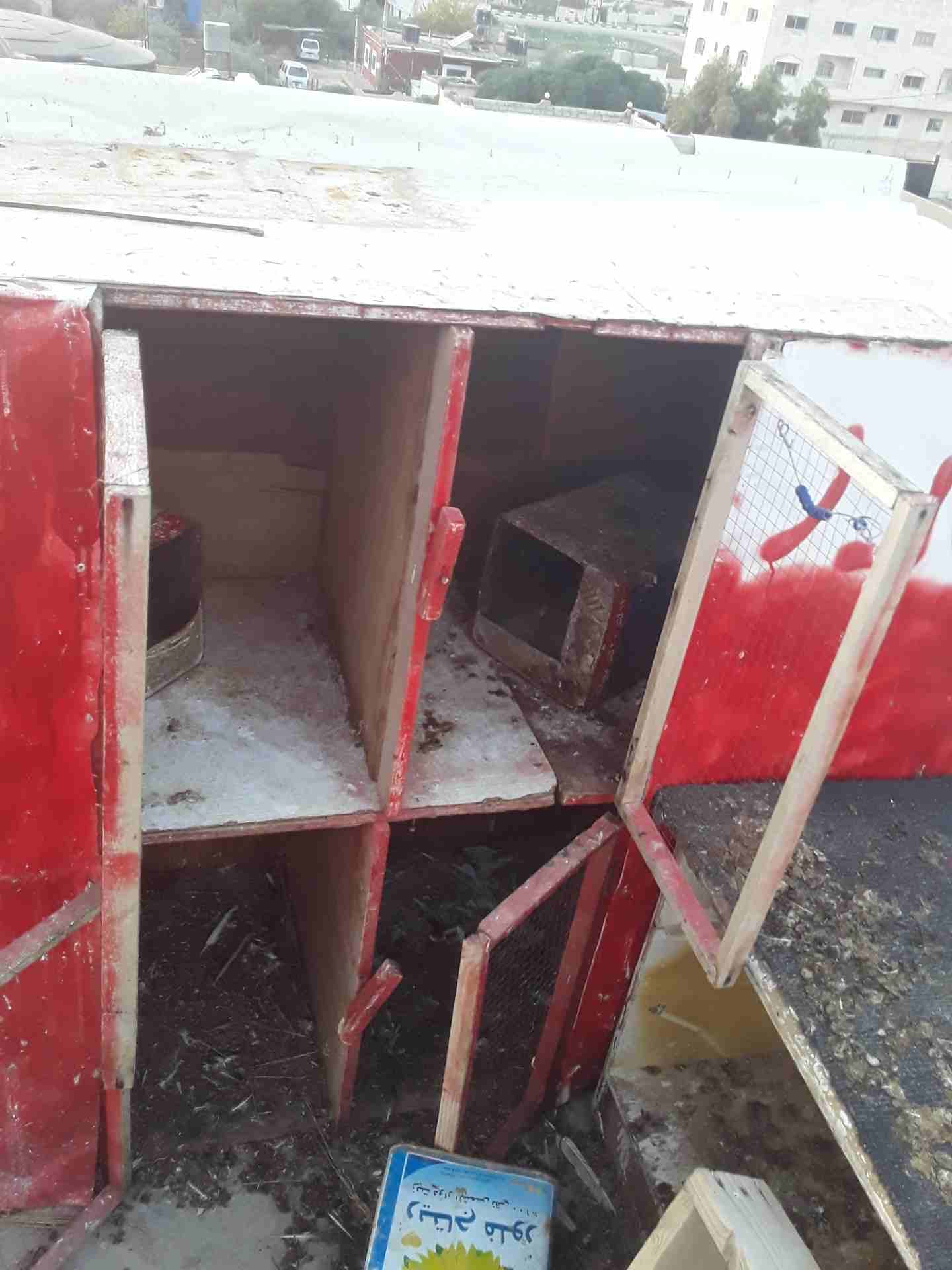 123456
لا تنسَ أنك شاهدت هذا الإعلان في عنكبوت
بيع القفص 10دنانير مقابل حمام بلدي او نوع...