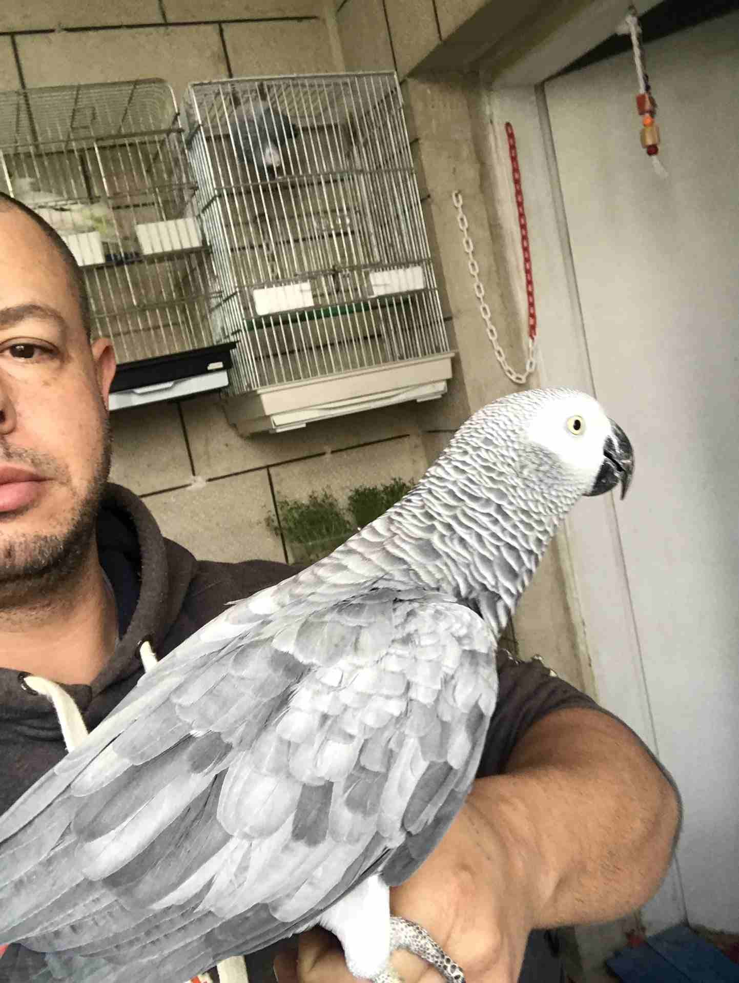 كاسكو عدد 2 للبيع
لا تنسَ أنك شاهدت هذا الإعلان في عنكبوت
كاسكو لون ثلجي بحكي 30 كلمه 370 دينار
ك...