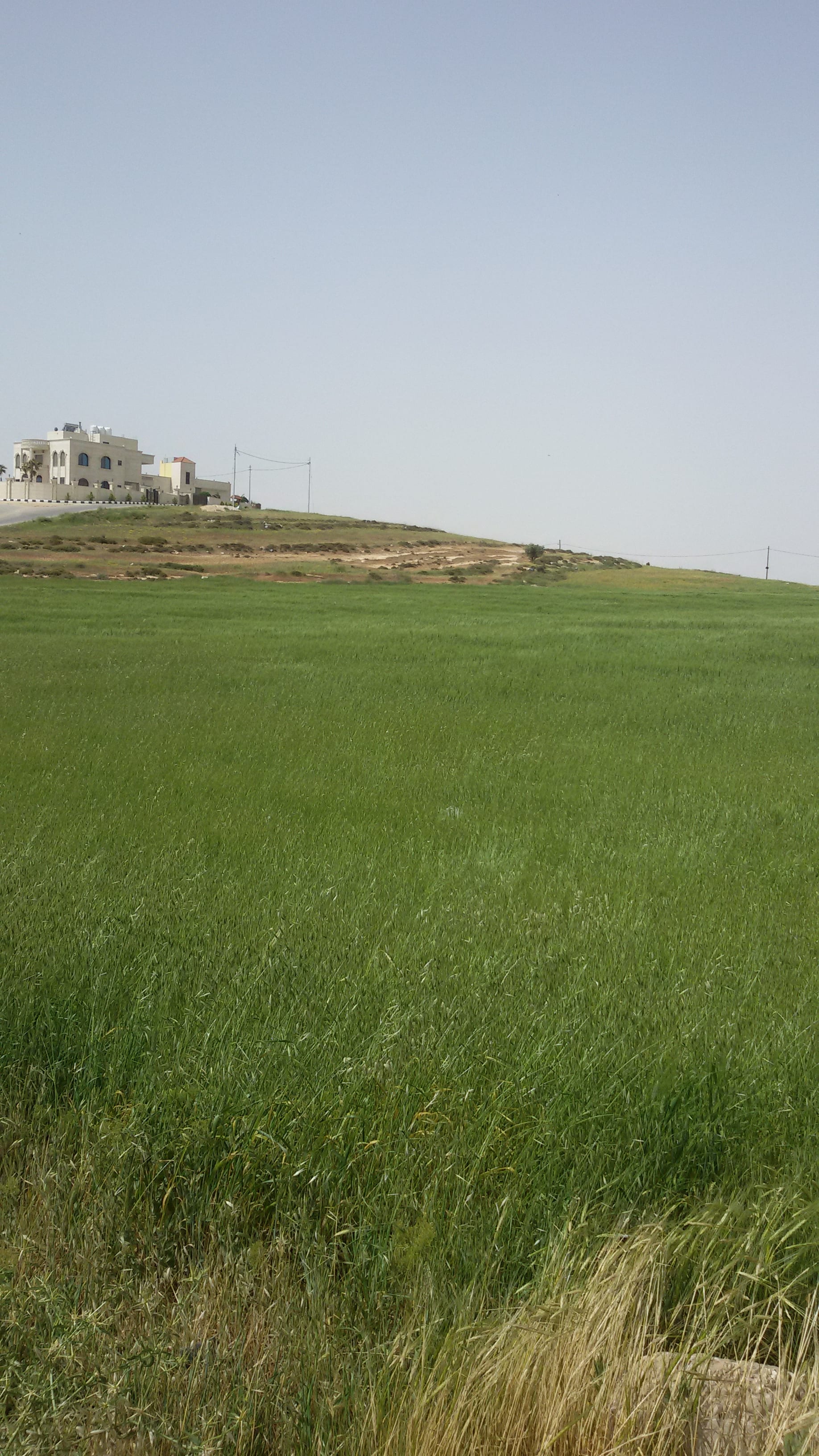 نمر سكنيه ناعور حوض اليرموك والقهاقبر وبريح والمنيف وغيرها
لا تنسَ أنك شاهدت هذا الإعلان في عنكبوت...