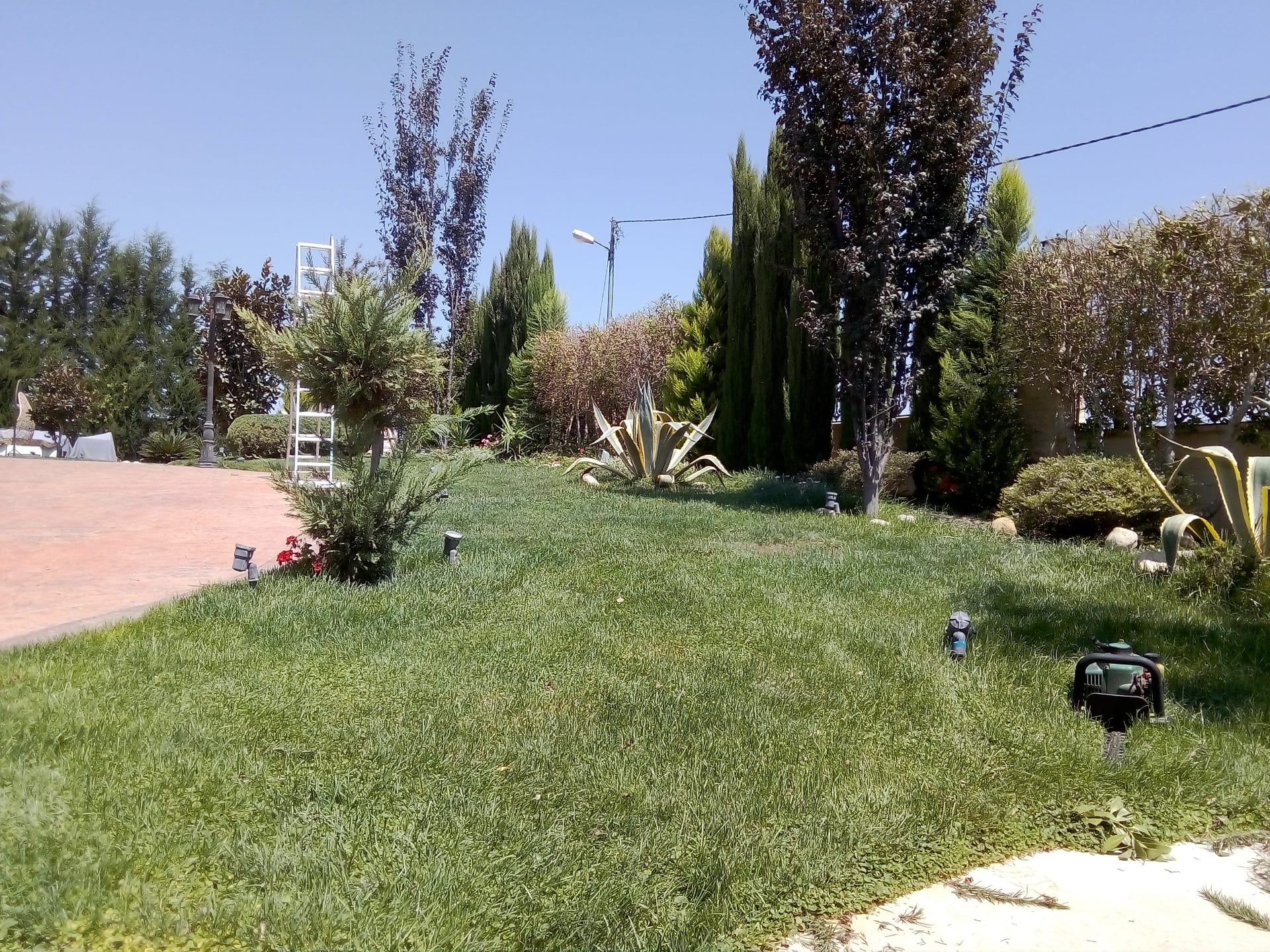 تنسيق حدائق
لا تنسَ أنك شاهدت هذا الإعلان في عنكبوت
تنسيق حدائق 0788445103
رقم الم...