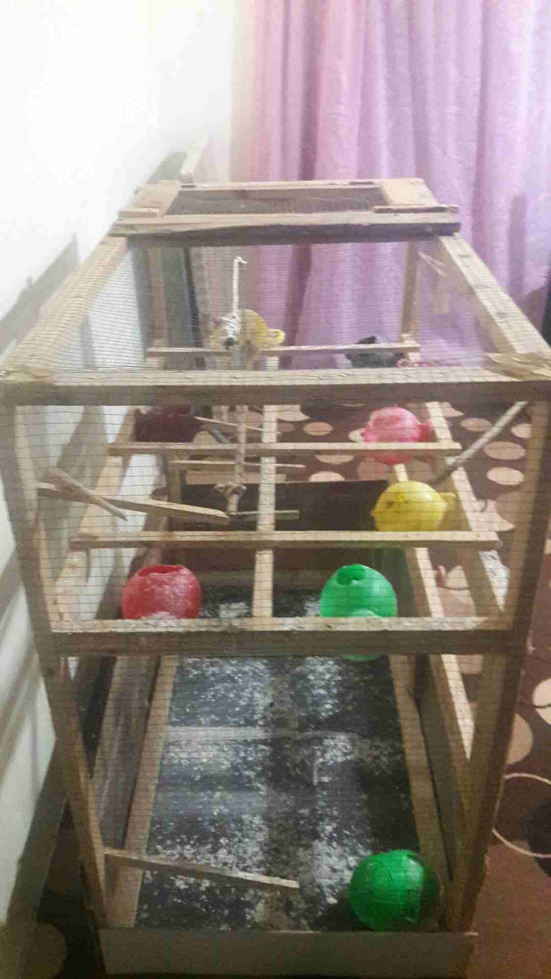 مطير تفصيل للبيع
لا تنسَ أنك شاهدت هذا الإعلان في عنكبوت
مطير تفصيل للبيع او البدل بسعر مغري للجا...