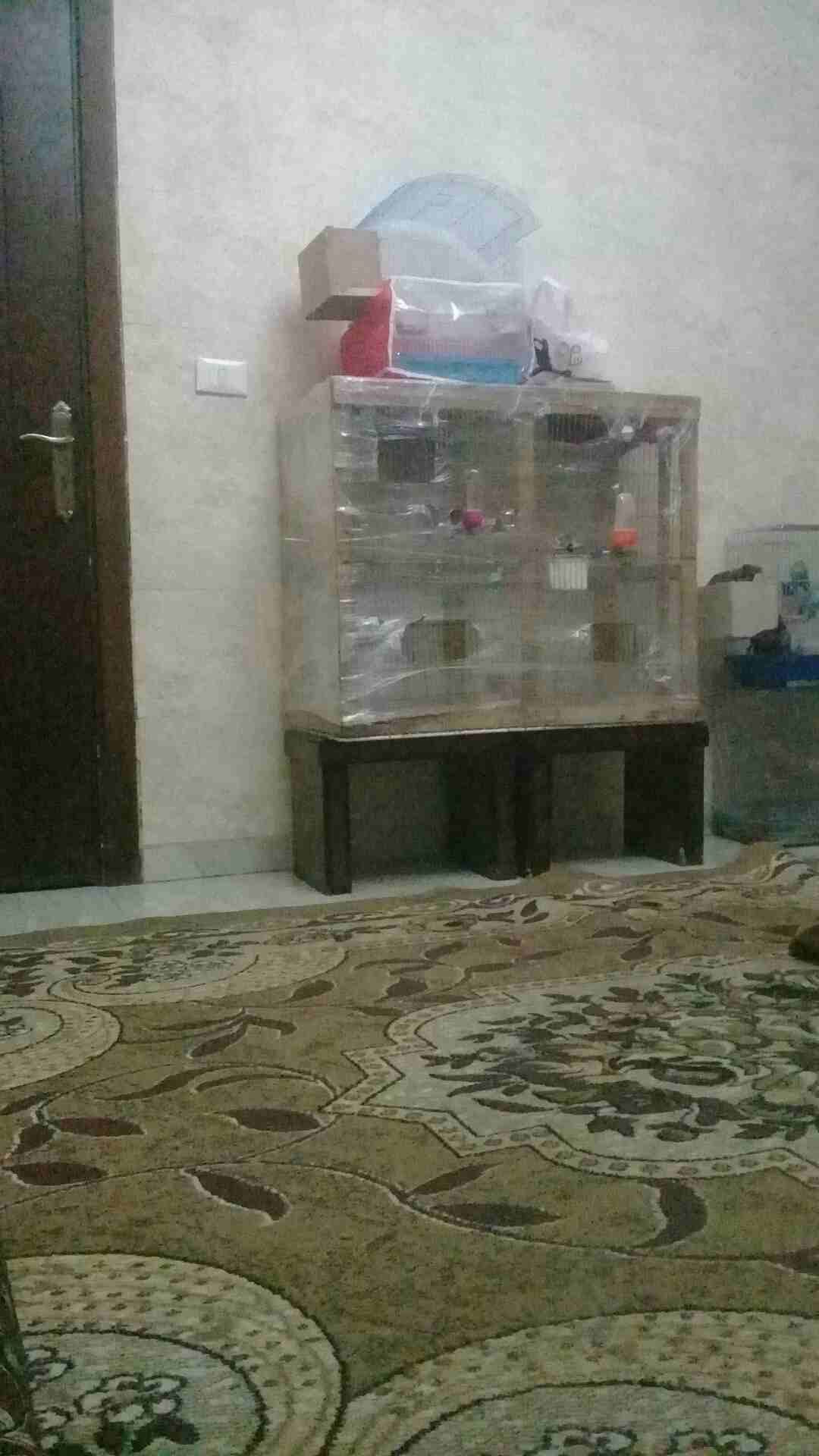 جبل الزهور مطير
لا تنسَ أنك شاهدت هذا الإعلان في عنكبوت
بسم الله مطير بدون اغراض سعر 15دينار مع ا...