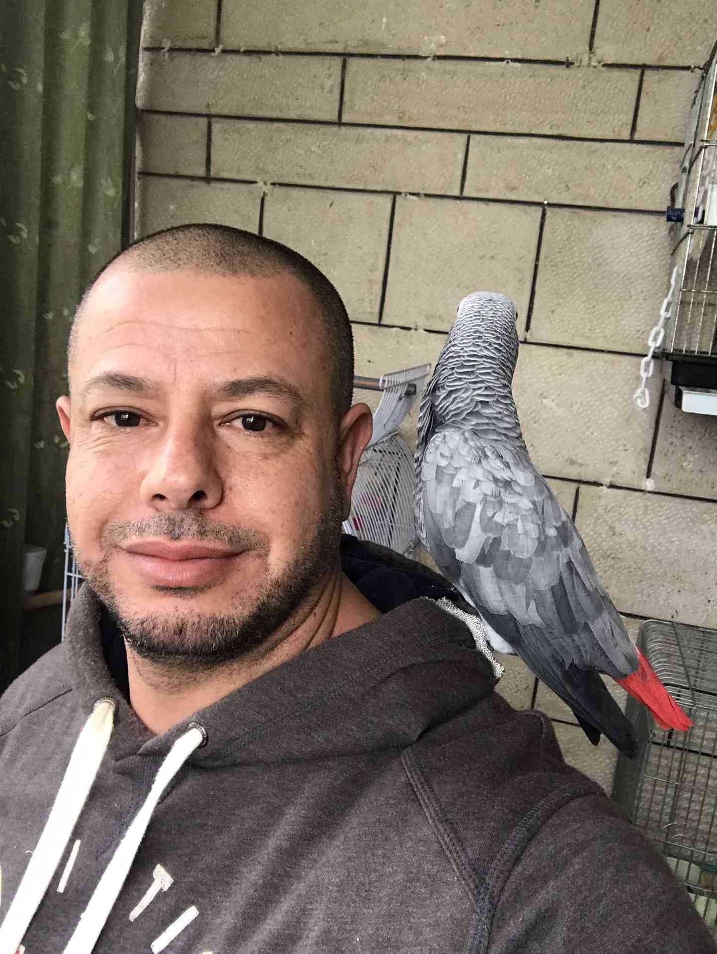 كاسكو لون صدفي اليف متكلم للبيع
لا تنسَ أنك شاهدت هذا الإعلان في عنكبوت
كاسكو عمرو سنه ونص ال...