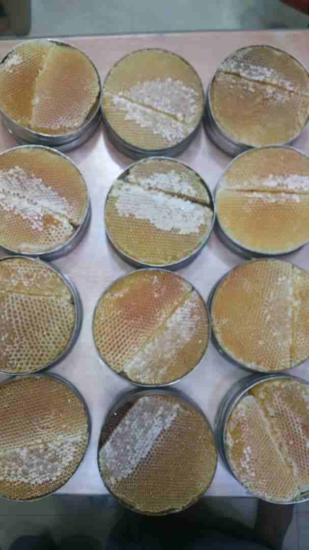 عسل دوعن سدر علاج قوي لجميع الامراض
لا تنسَ أنك شاهدت هذا الإعلان في عنكبوت
مركز ابو علي للعسل حض...