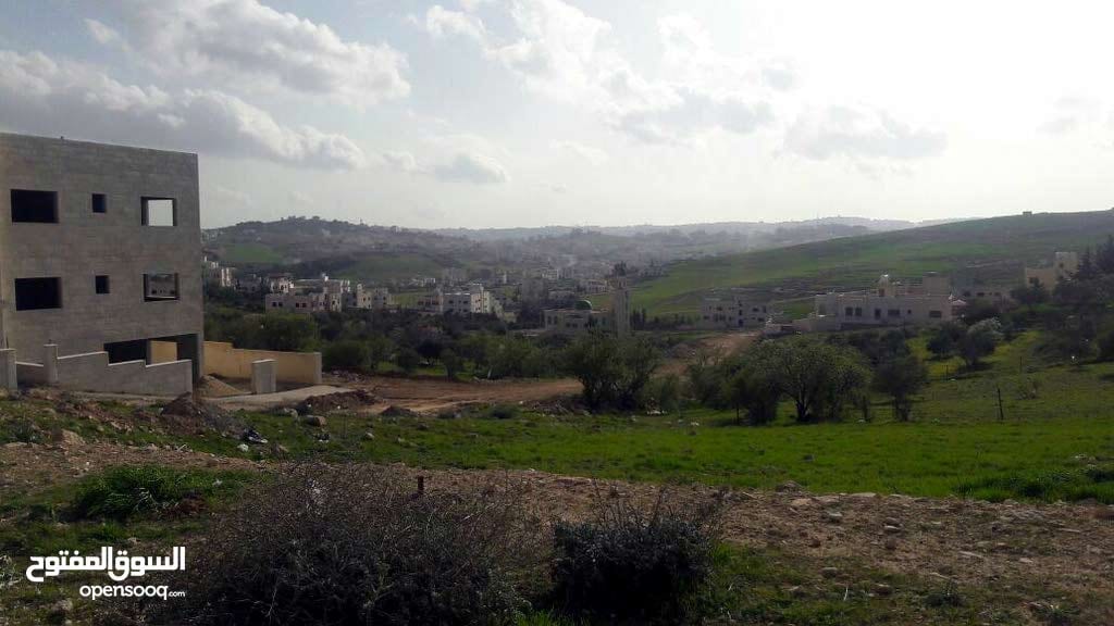 شفا بدران مرج الفرس 756م سكن ب محاطه بالفلل مطله
لا تنسَ أنك شاهدت هذا الإعلان في عنكبوت
ارض...
