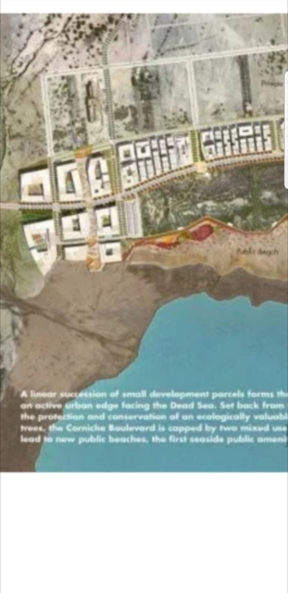 ضمن منطقة البحر الميت التنموية
لا تنسَ أنك شاهدت هذا الإعلان في عنكبوت
أرض سياحية ضمن منطقة ا...