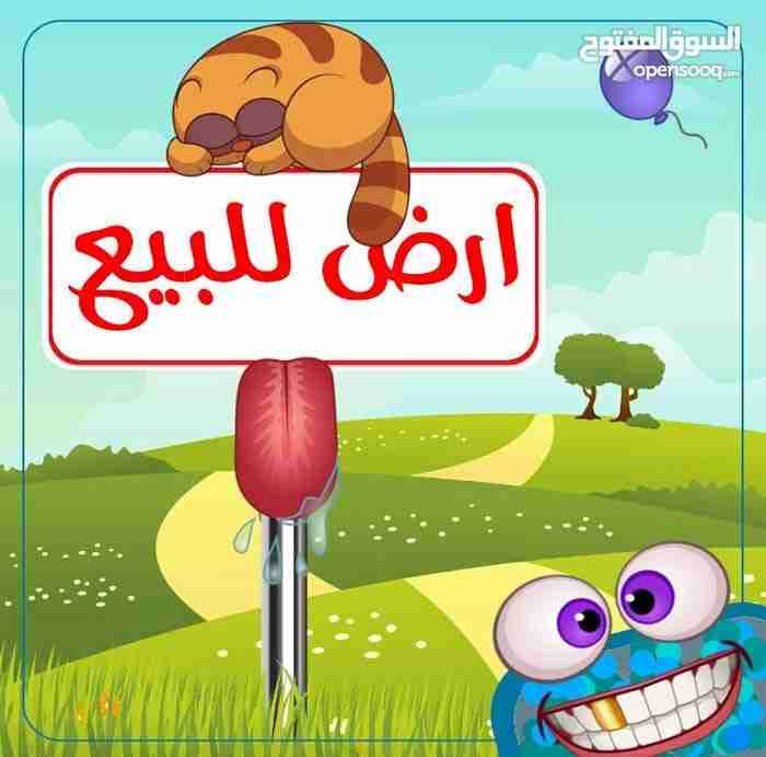 ارض 500م للبيع في طبربور
لا تنسَ أنك شاهدت هذا الإعلان في عنكبوت
اولا --- 500 متر طبربور - مط...