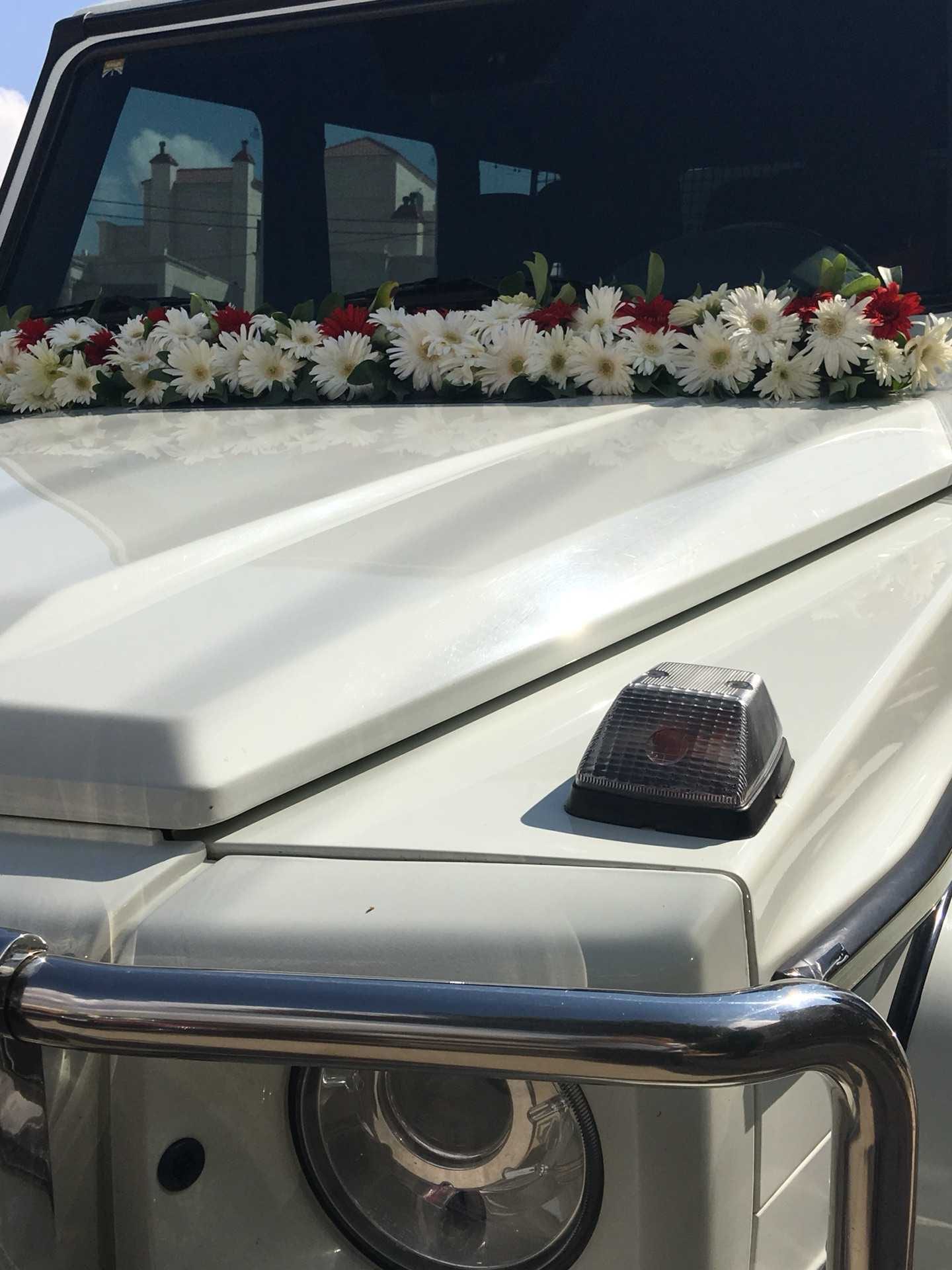 لحق العرض جي كلاس لأول مره من المالك مباشره فقط ب 150 دينار
لا تنسَ أنك شاهدت هذا الإعلان في عنكبوت...