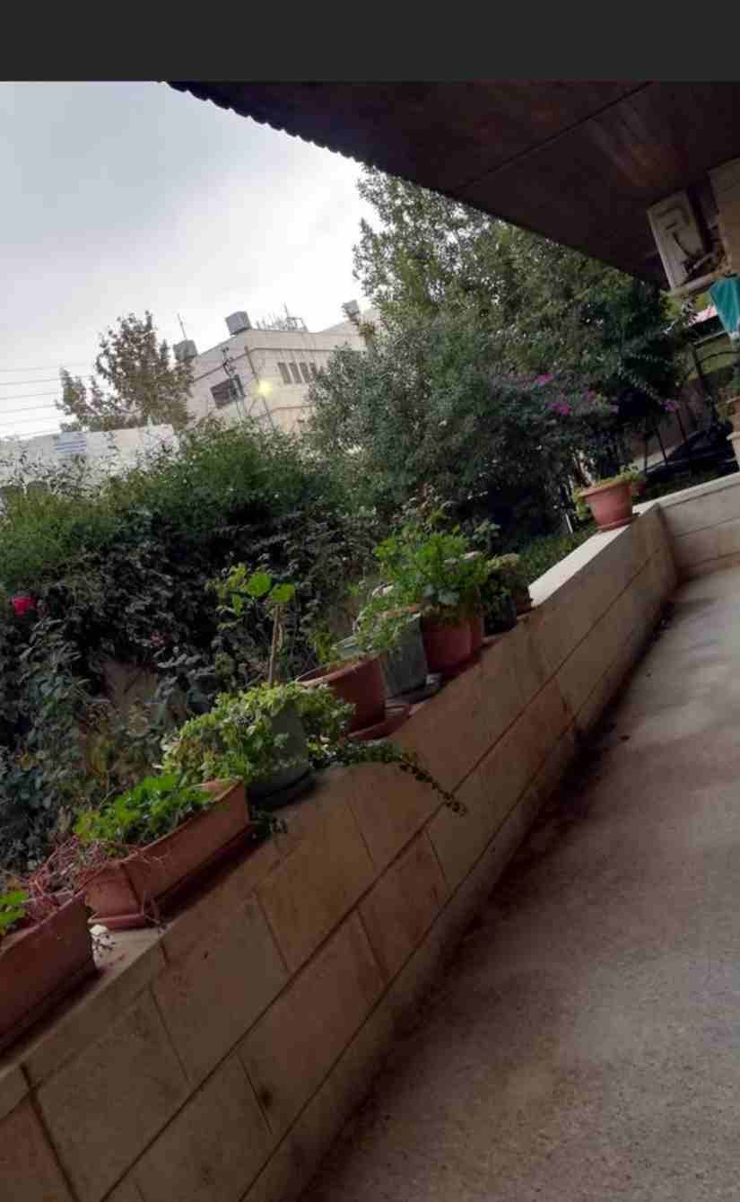 فيلا 380م بالصويفية للبيع
لا تنسَ أنك شاهدت هذا الإعلان في عنكبوت
الموقع كامل للبيع بمساحة 845 م...