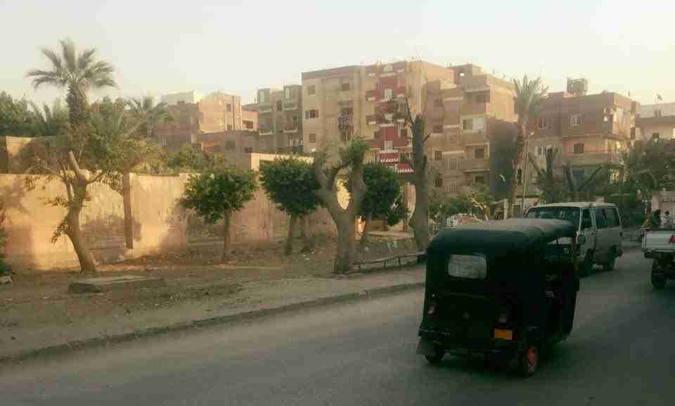 تقليم وتركيب جميع الاشجار
لا تنسَ أنك شاهدت هذا الإعلان في عنكبوت
العروض
خصومات مميزة
تنسيق...