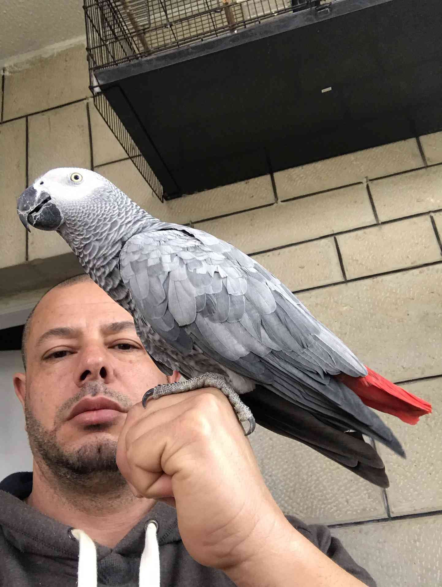 كاسكو لون صدفي اليف متكلم للبيع
لا تنسَ أنك شاهدت هذا الإعلان في عنكبوت
كاسكو عمرو سنه ونص ال...