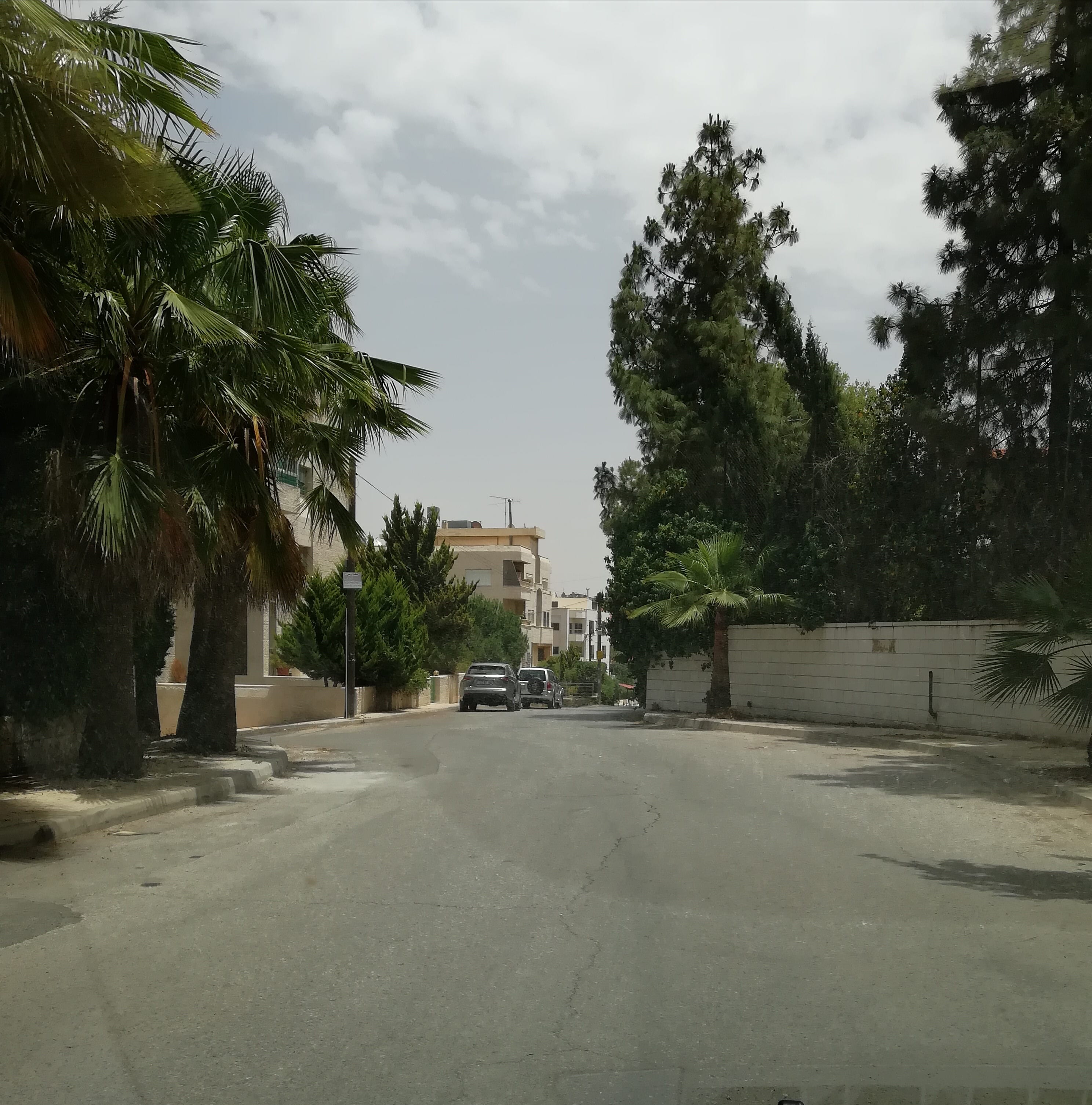 ارض سكن ب في تلاع العلي
لا تنسَ أنك شاهدت هذا الإعلان في عنكبوت
على شارعين مرتفعه ذات اطلاله...