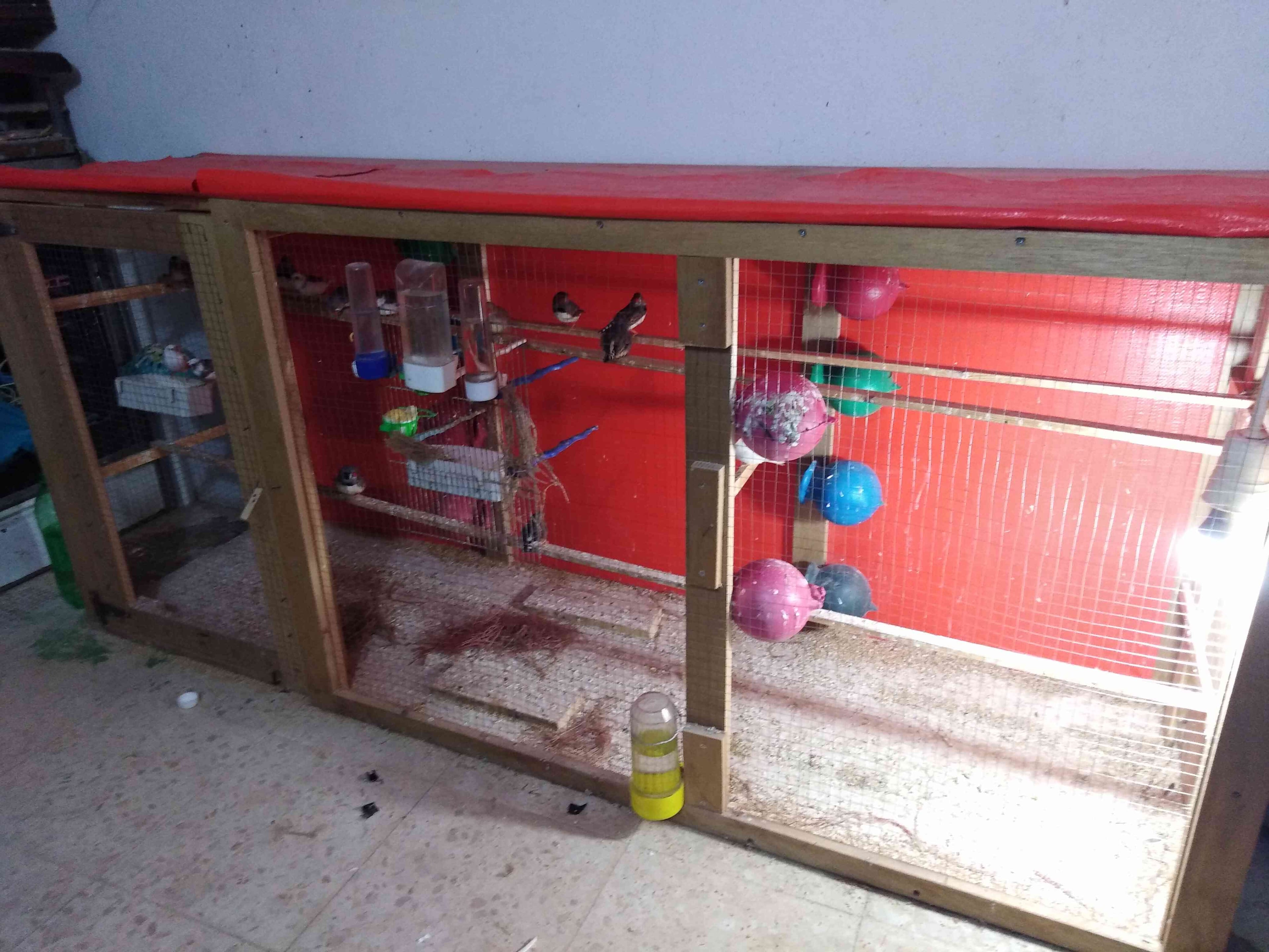 طيور جنة شغلات مع بيض
لا تنسَ أنك شاهدت هذا الإعلان في عنكبوت
10 جواز جنة شغلات اشي بايض وشي...