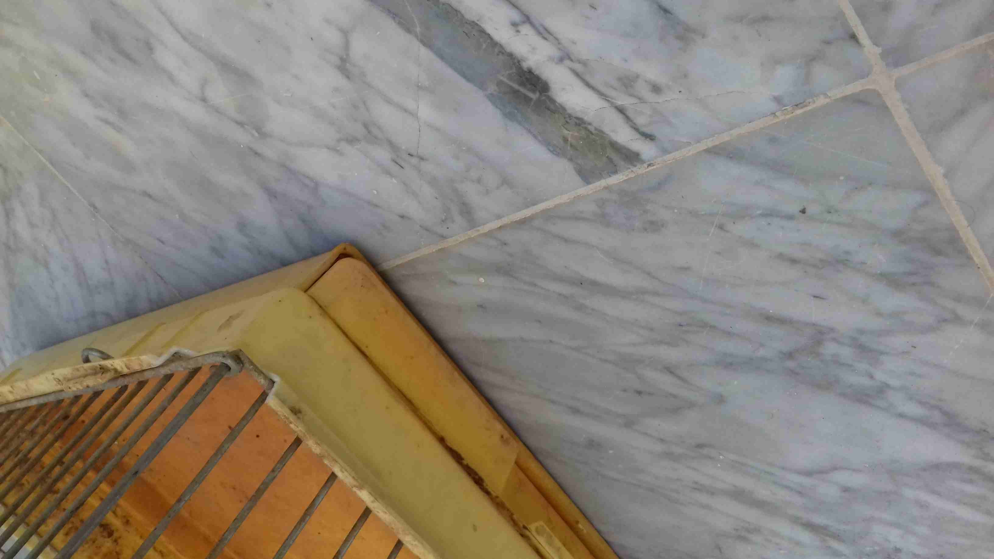 قفص بحاله ممتازه للبيع
لا تنسَ أنك شاهدت هذا الإعلان في عنكبوت
قفص ببغاء بحاله جيده القفص كبير
2...