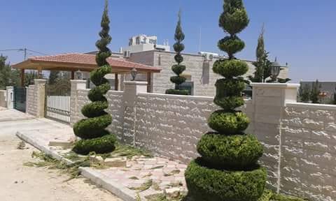 تنسيق حدائق
لا تنسَ أنك شاهدت هذا الإعلان في عنكبوت
تنسيق حدائق 0788445103
رقم الم...