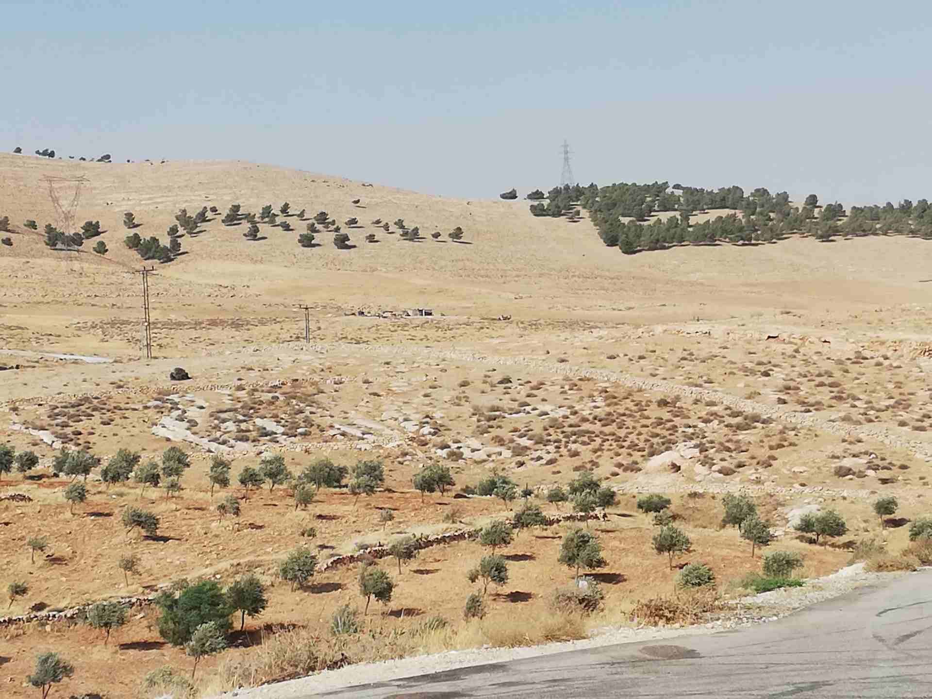 أرض للبيع في بيرين باسكان دكاترة الجامعة الأردنية مميزة بسعر مغري
لا تنسَ أنك شاهدت هذا الإعلان في عنكبوت...