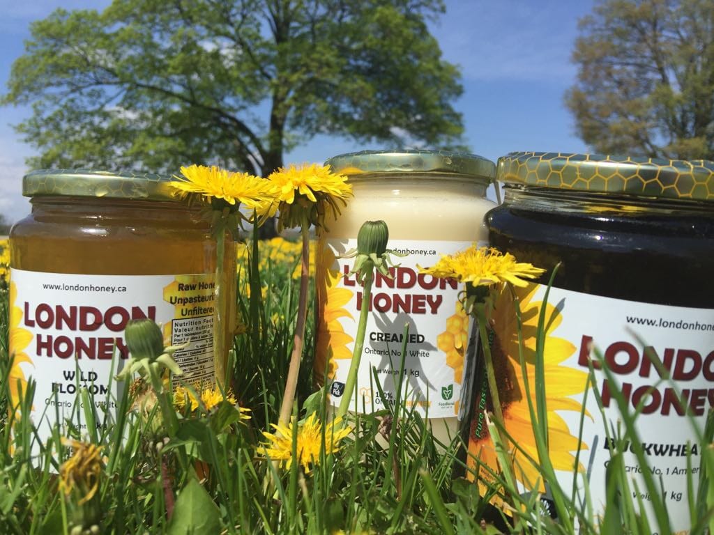 عسل كندي طبيعي حر صافي raw honey
لا تنسَ أنك شاهدت هذا الإعلان في عنكبوت
عسل حر انتاج مراعي ك...