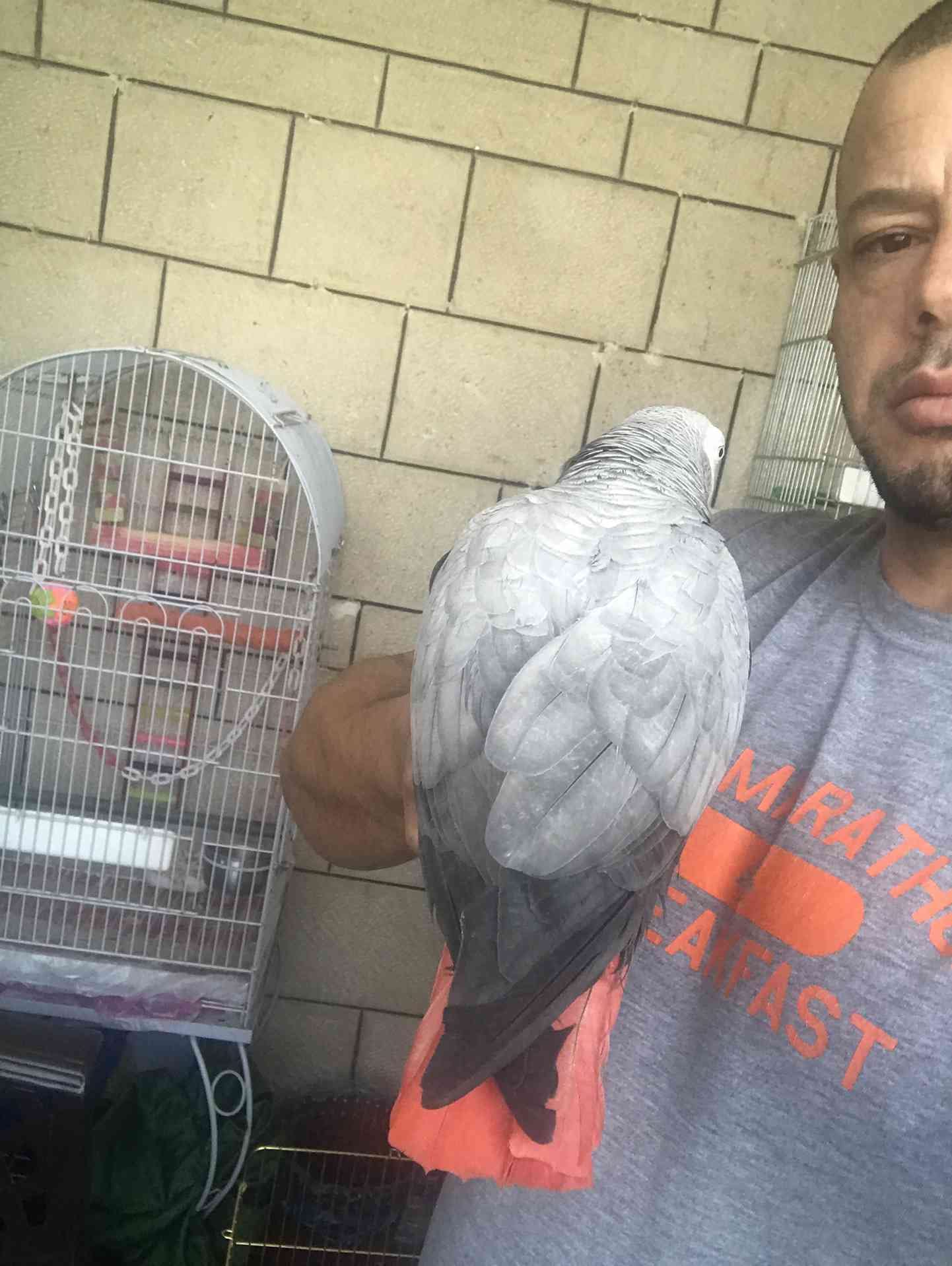 كاسكو اليف متكلم للبيع
لا تنسَ أنك شاهدت هذا الإعلان في عنكبوت
كاسكو متكلم اكثر من 30 كلمه ال...