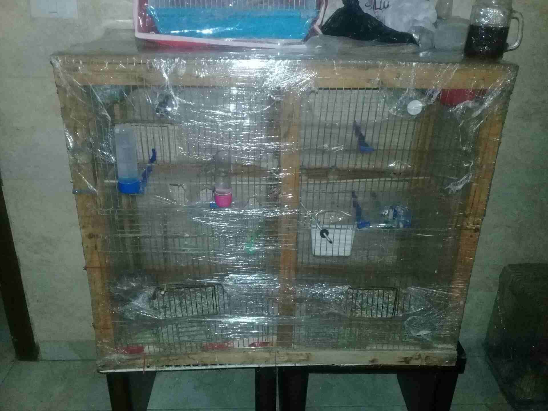 جبل الزهور
لا تنسَ أنك شاهدت هذا الإعلان في عنكبوت
مطير كامل البيع بسعر 35 يوجد في 3 جواز جنه في...