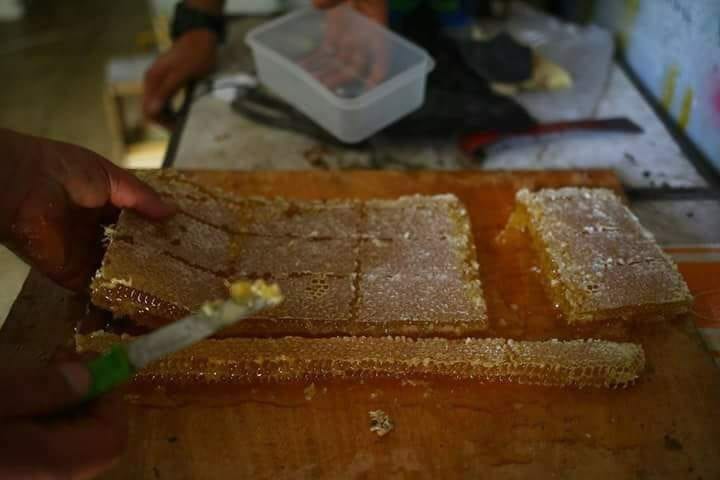 العسل البلدي
لا تنسَ أنك شاهدت هذا الإعلان في عنكبوت
جميع منتجات النحل من مناحل سوار العسل لم...