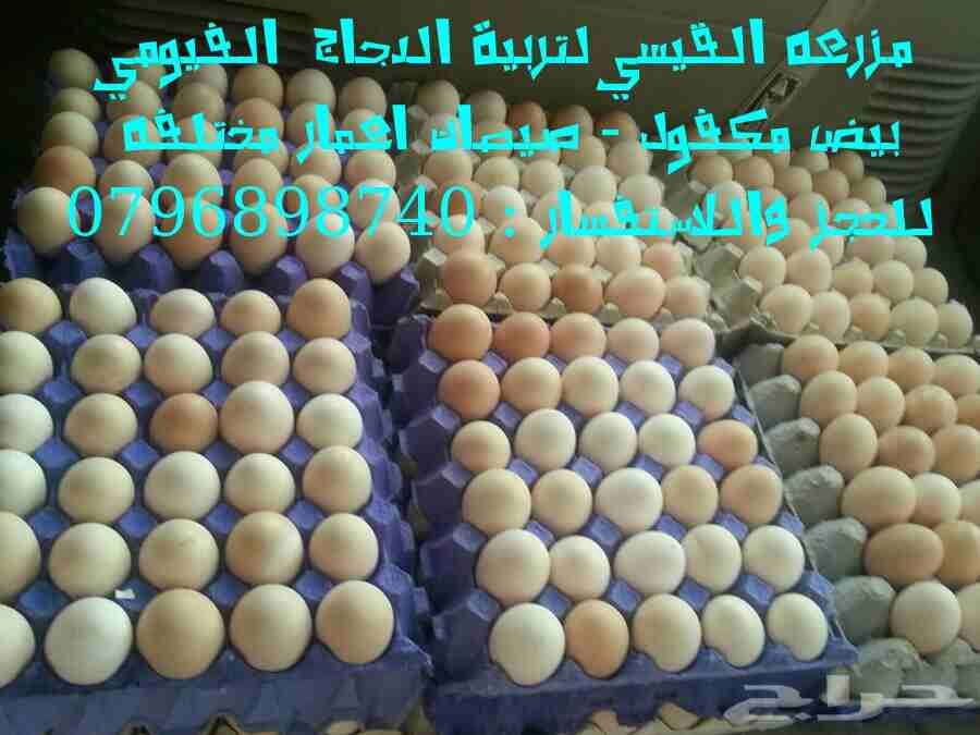 بيض فيومي مخصب من مزرعه القيسي
لا تنسَ أنك شاهدت هذا الإعلان في عنكبوت
متوفر بإذن الله بيض دجاج ف...
