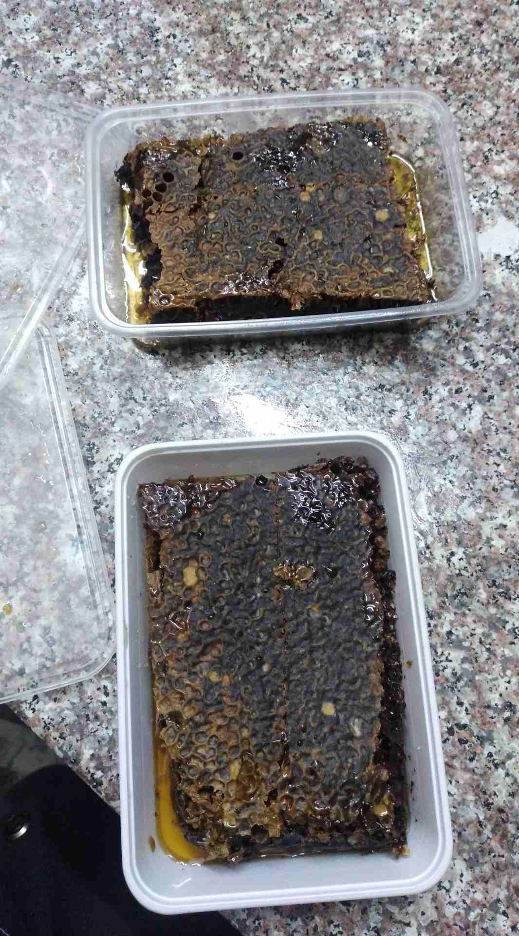 اربد لواء الكوره
لا تنسَ أنك شاهدت هذا الإعلان في عنكبوت
الحمدلله يوجد لدينا عسل طبيعي بفضل لله ت...