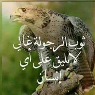 راس سنقل
لا تنسَ أنك شاهدت هذا الإعلان في عنكبوت
مطلوب تريلا سنقل مع عربايه قلاب موديل 2000 ل...