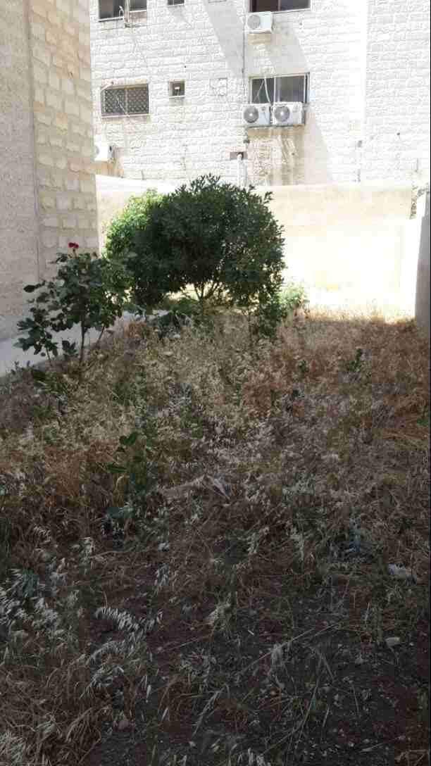 شقه ارضيه مع حديقه واسعه للبيع مساحه 130م في شارع عبدالله غوشه
لا تنسَ أنك شاهدت هذا الإعلان في عنكبوت...