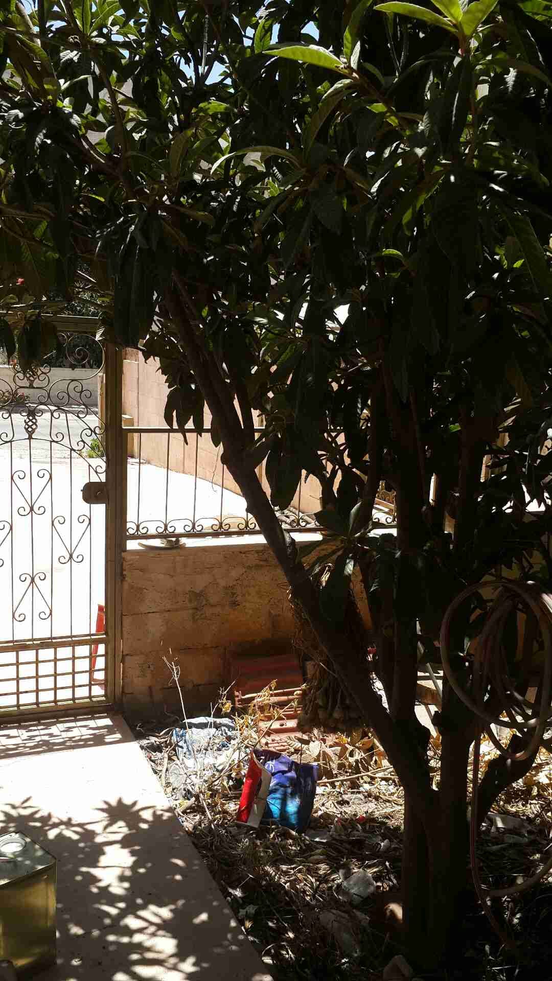 فيلا للبيع خلدا خلف المدارس الانجليزيه مساحه الأرض 400م البناء 350
لا تنسَ أنك شاهدت هذا الإعلان في عنكبوت...