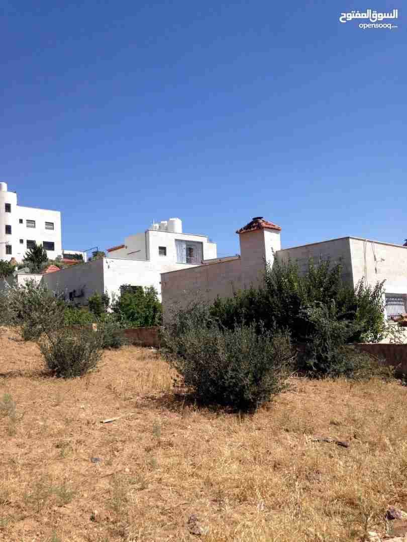 للبيع 850م ابو نصير ام بطمه قرب مستشفى الرشيد من المالك مباشره
لا تنسَ أنك شاهدت هذا الإعلان في عنكبوت...